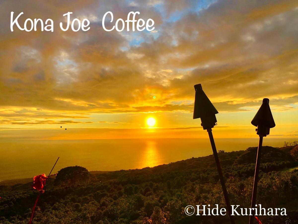 Nohokai At Kona Joe Coffee Farm Hotel Kealakekua Eksteriør billede